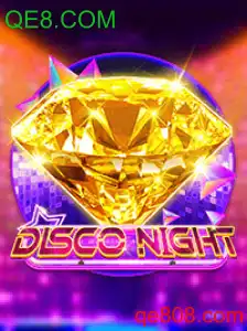 DiscoNight
